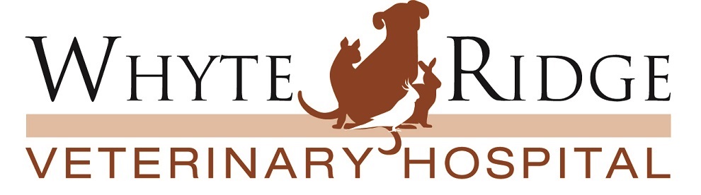 Pet Library - Whyte Ridge Veterinary Hospital - Winnipeg, MB